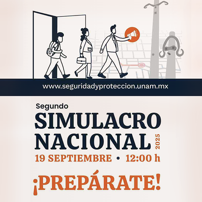 simulacro